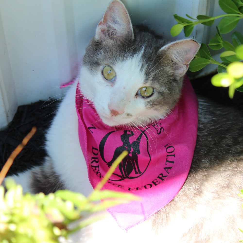 Adjustable Pet Bandana with Snaps