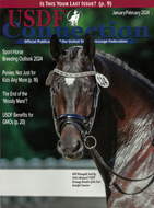Connection Magazine