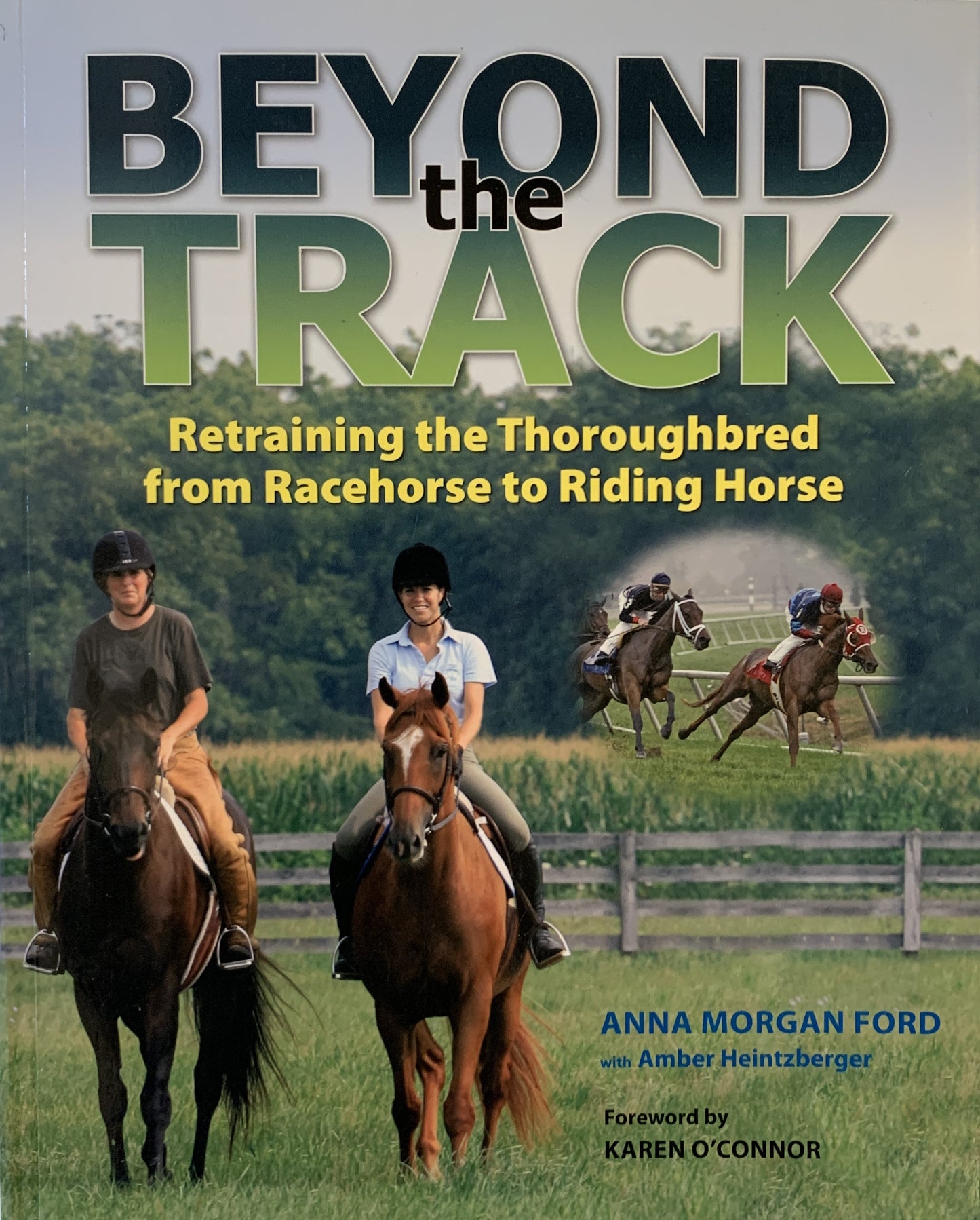 Beyond the Track: Retraining the Thoroughbred from Racehorse to Riding Horse