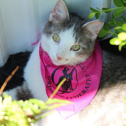 Adjustable Pet Bandana with Snaps