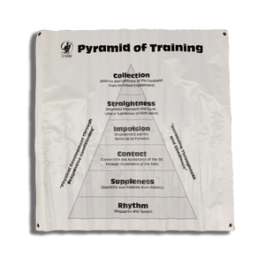 Pyramid of Training Banner