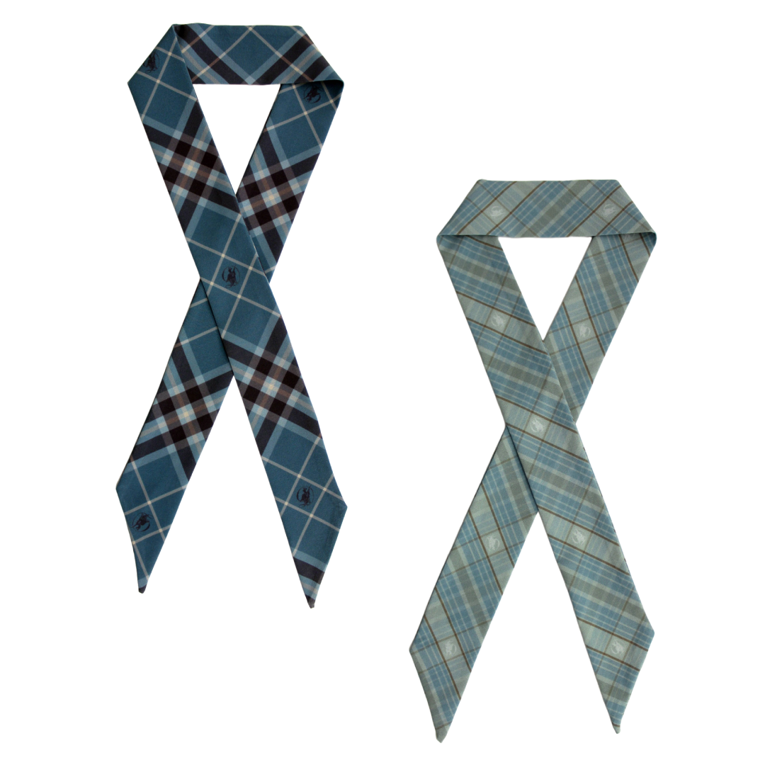 Women's Hair/Neck Scarf