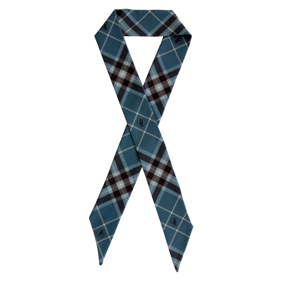 Women's Hair/Neck Scarf