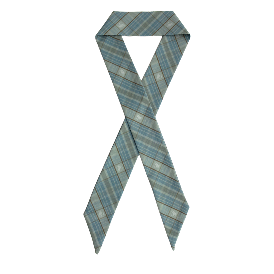 Women's Hair/Neck Scarf