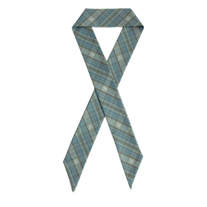 Women's Hair/Neck Scarf